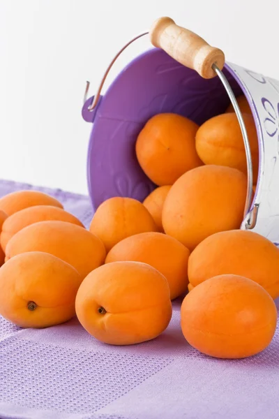 Спелый свежий абрикос — стоковое фото