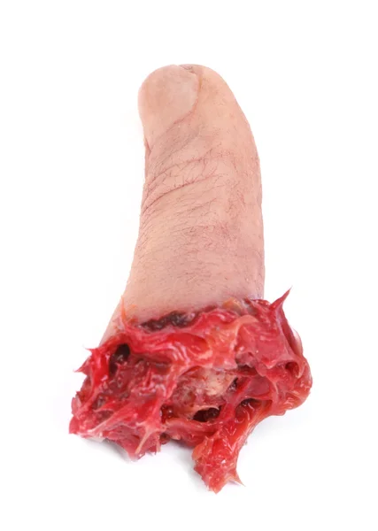 Künstlicher menschlicher Finger — Stockfoto