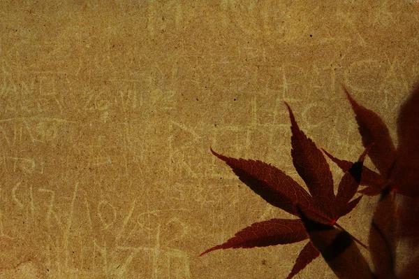 Старая бумага с красными листьями — стоковое фото