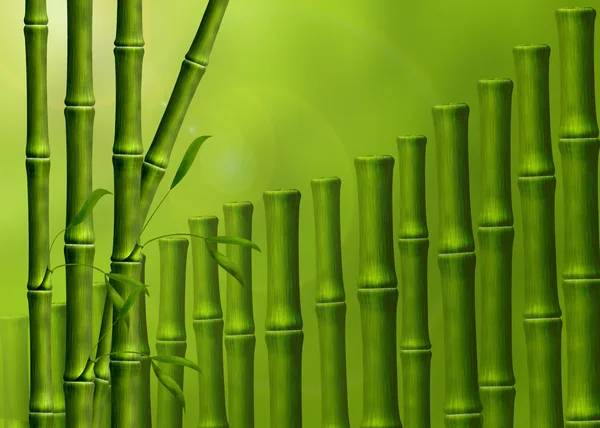 stock image Background from the stems of bamboo