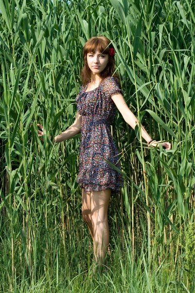 Yaz aylarında açık yürüyen kız — Stok fotoğraf
