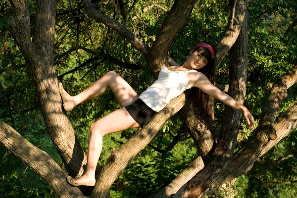 Девушка взбирается на дерево — стоковое фото