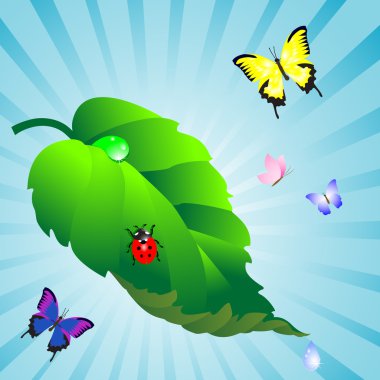 Green leaf. clipart