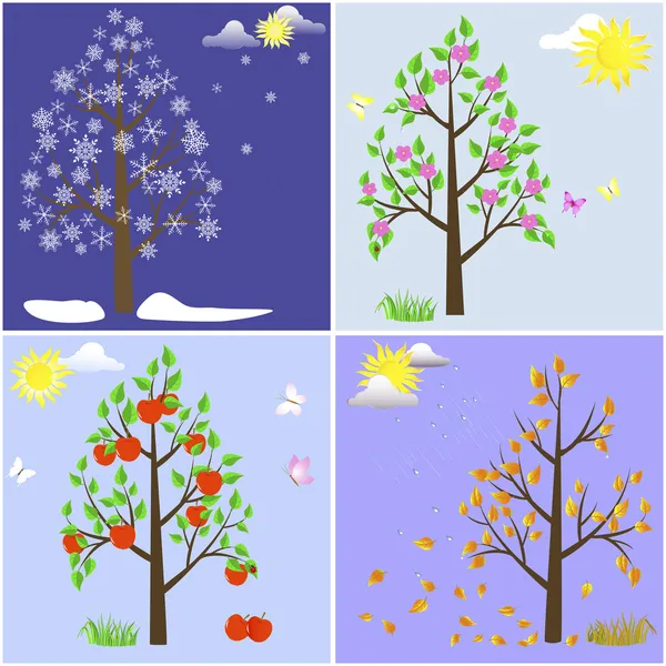 Bomen in vier seizoenen. — Stockvector
