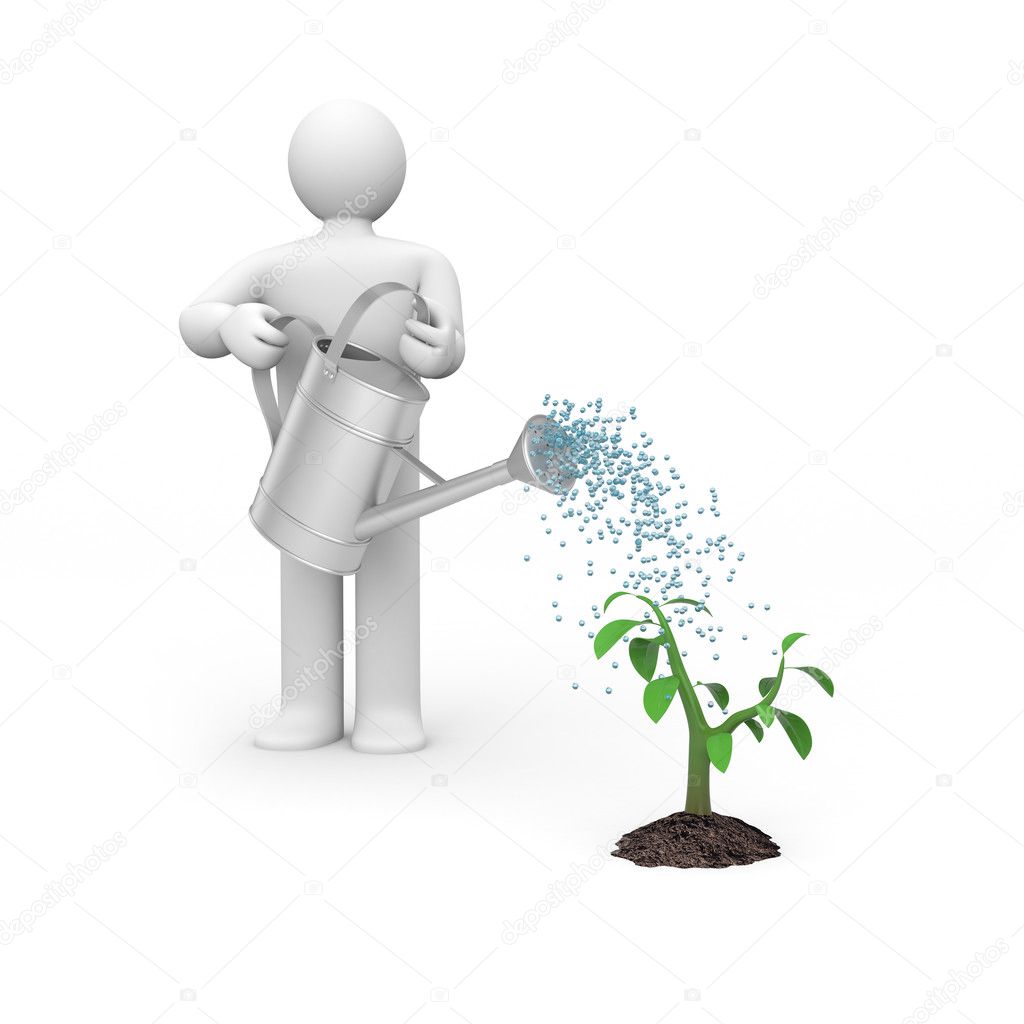 Person pouring tree