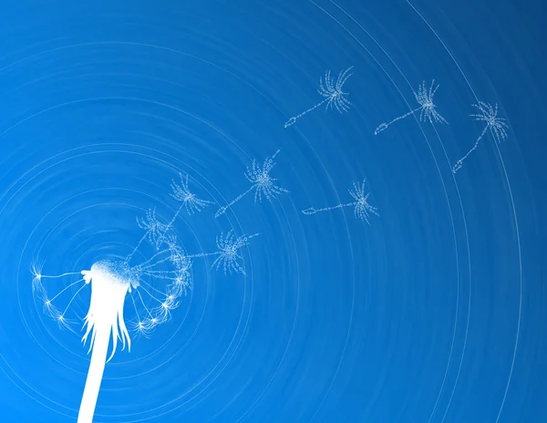 stock image Blow dandelion. Digital concept