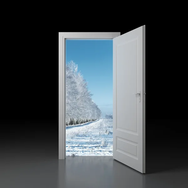 冬天的大门 — 图库照片
