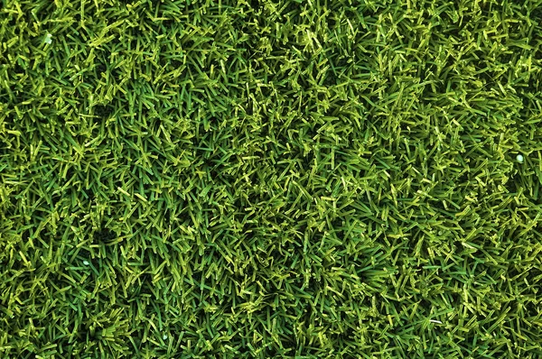 Висока докладну трави — стокове фото