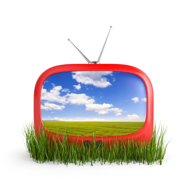 Телевизор в траве — стоковое фото