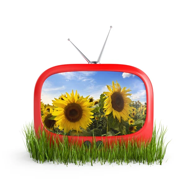 stock image Tv in grass