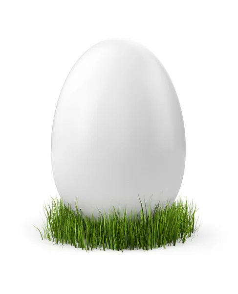 Egg in grass — Stock Photo, Image