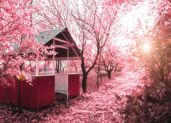 stock image Pink spring(infrared photo)