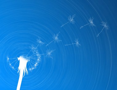 Blow dandelion. Digital concept clipart