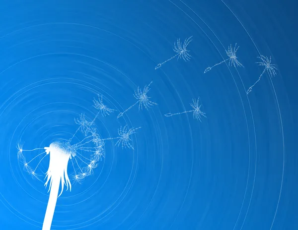 Blow dandelion. Digital concept — Stock Photo, Image