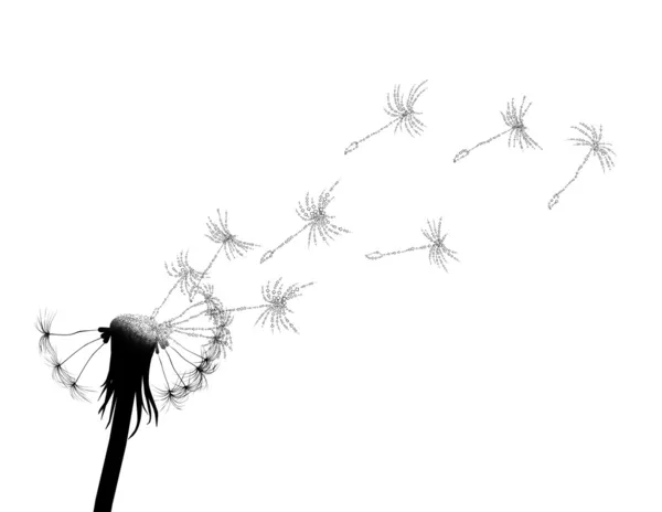 Blow dandelion — Stock Photo, Image