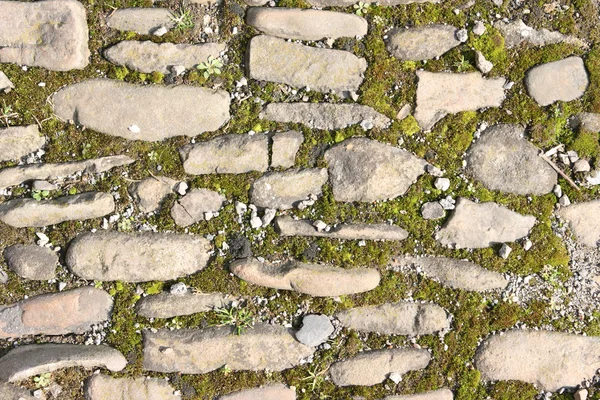 Antiguo pavimento pedregoso —  Fotos de Stock