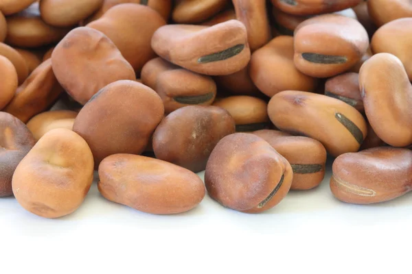 白い背景の上に茶色の豆の乾燥 — ストック写真