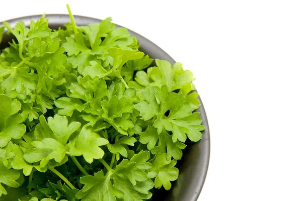 Black bowl with fresh parsley leaves — Stock Photo, Image