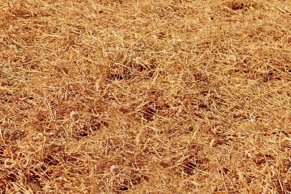 stock image Bed of straw