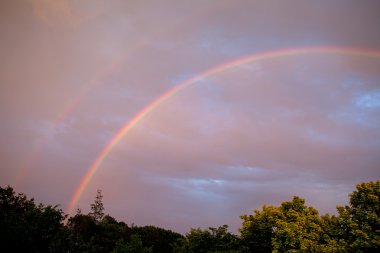 Colorful rainbow