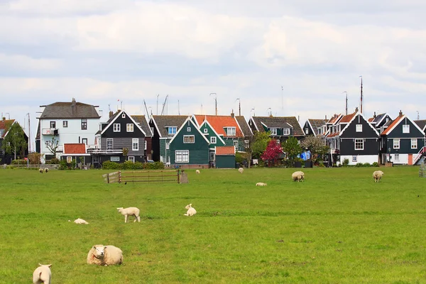 Typical Dutch houses — Stock Photo, Image