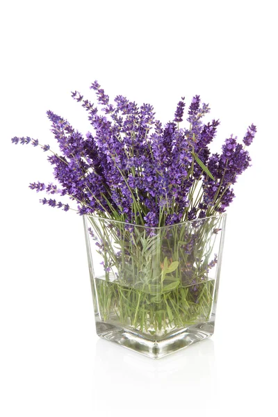 Kimppu plukked laventeli maljakko — kuvapankkivalokuva