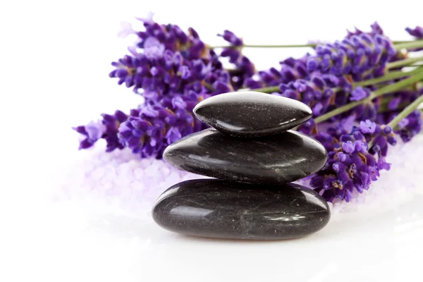 Stacked black stepping stones and lavender flowers — Stock Photo, Image