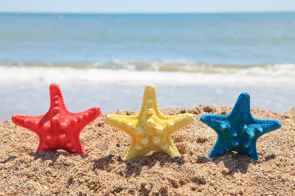 Три разноцветные морские звезды на пляже — стоковое фото