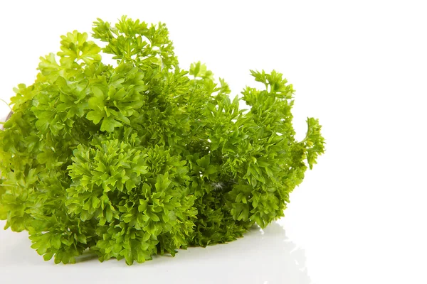 Fresh parsley in closeup — Stock Photo, Image