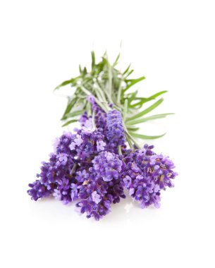 Bunch of picked lavender clipart