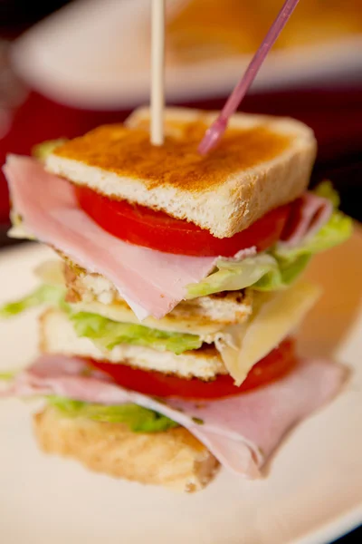 Stacked healthy sandwich — Stock Photo, Image