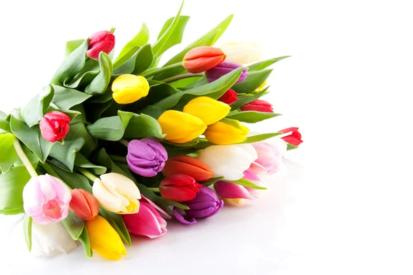 Boeket van kleurrijke Nederlandse tulpen — Stockfoto