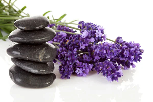 Gestapelte schwarze Steinchen und Lavendelblüten — Stockfoto