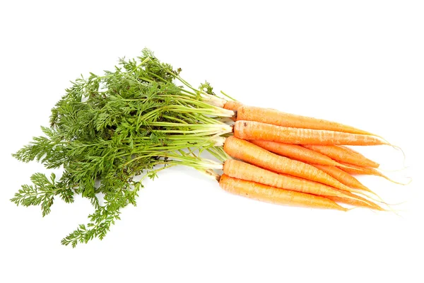 Mazzo di carote fresche — Foto Stock
