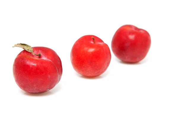 Three fresh plums — Stock Photo, Image