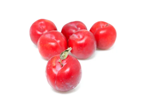Group of fresh plums — Stock Photo, Image
