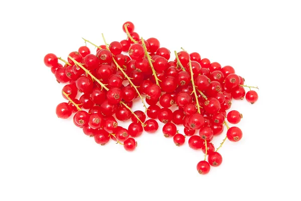 Pile berries of red currant in closeup — Stock Photo, Image