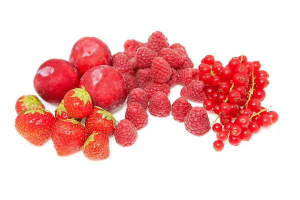 Φρέσκα κόκκινα φρούτα, βατόμουρα, φράουλες και δαμάσκηνα — Φωτογραφία Αρχείου
