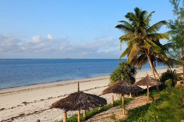 Tropical beach, Kenya — Stock Fotó