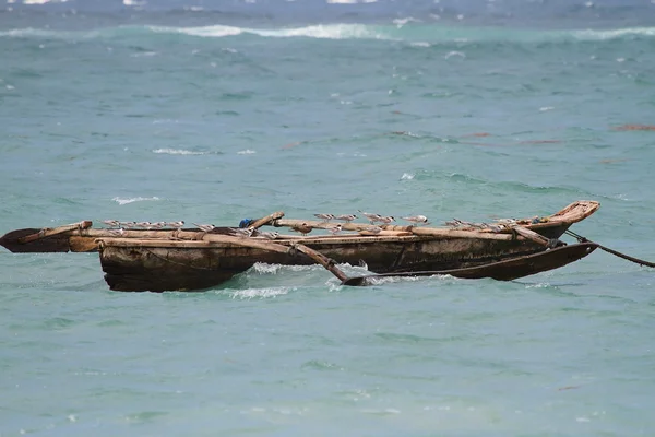 Ocean going canoe — Stock Photo, Image