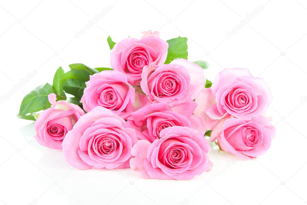 Pile of pink roses
