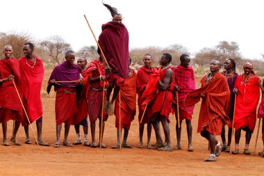 AFRICA, KENYA, MASAI MARA - JULY 2: Masai warriors dancing tradi clipart