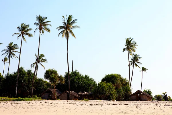 stock image Huts on the beach