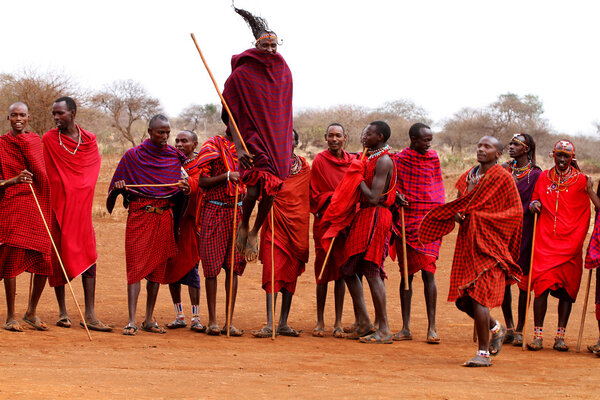 AFRICA, KENYA, MASAI MARA - JULY 2: Masai warriors dancing tradi