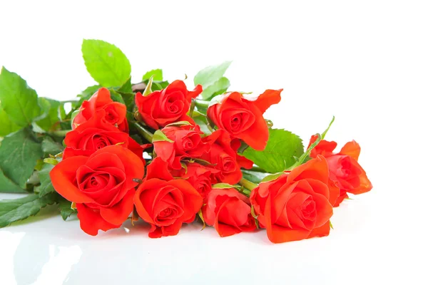 Pilha de rosas vermelhas — Fotografia de Stock