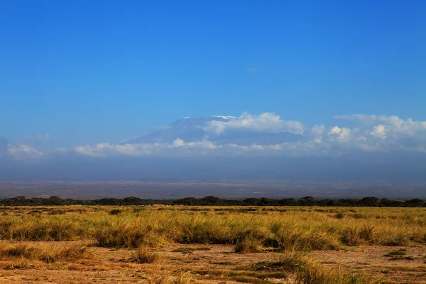 Кіліманджаро в Африці — стокове фото