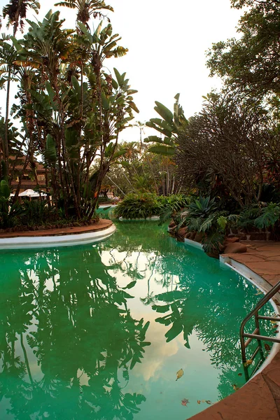 Kąpieli tropikalny basen — Zdjęcie stockowe