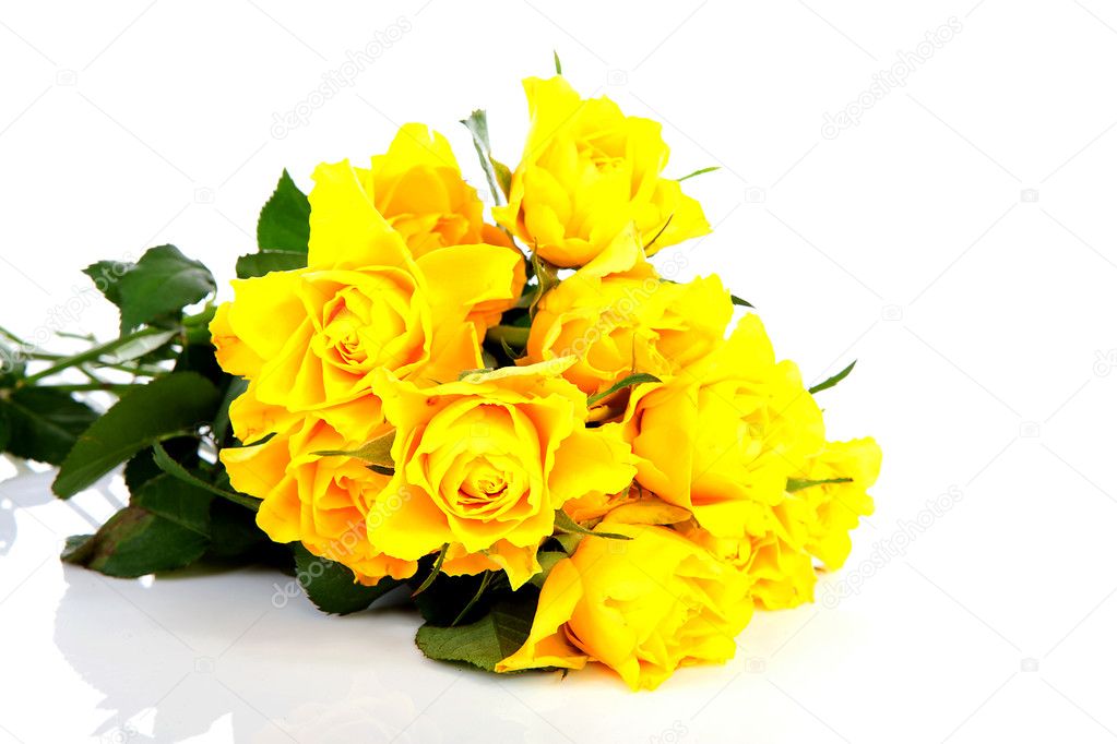 Pile of yellow roses