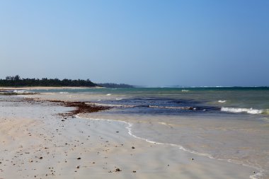 Empty Dania beach in Kenya clipart