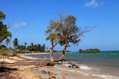 tipik köy ile tropikal Afrika beach